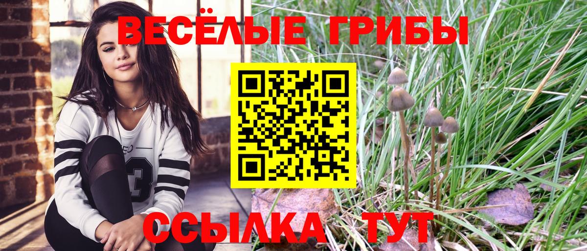 Десногорск  Псилоцибиновые грибы GOLDEN TEACHER  Галлюциногенные грибы прущие грибы  Вход с VPN 