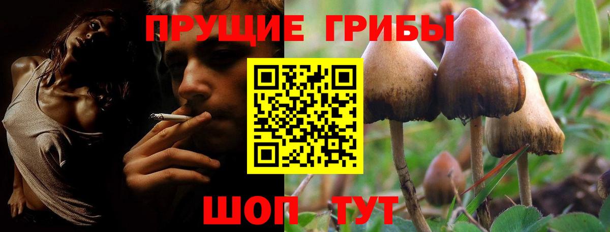 Псилоцибиновые грибы Cubensis Десногорск